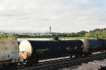 255007